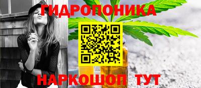 прущие грибы Шебекино