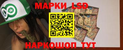 СК Ярославль