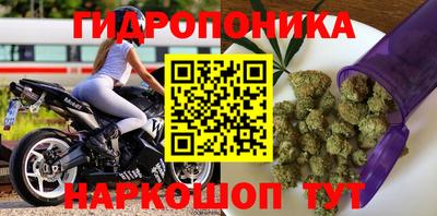 соль ск Шахты