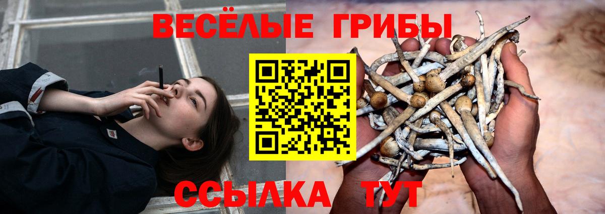 Бахчисарай  Галлюциногенные грибы мицелий  Вход с VPN  Галлюциногенные грибы Cubensis 